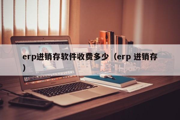 erp进销存软件收费多少（erp 进销存）