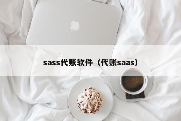 sass代账软件（代账saas）