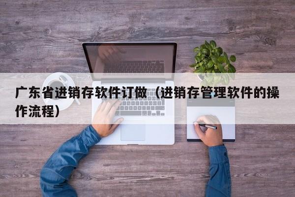 广东省进销存软件订做（进销存管理软件的操作流程）