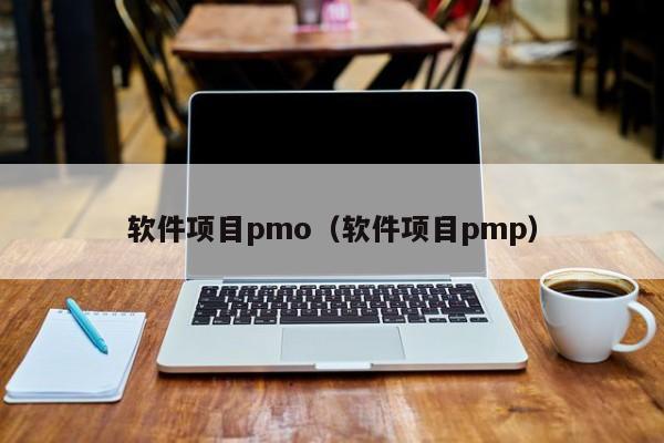 软件项目pmo（软件项目pmp）