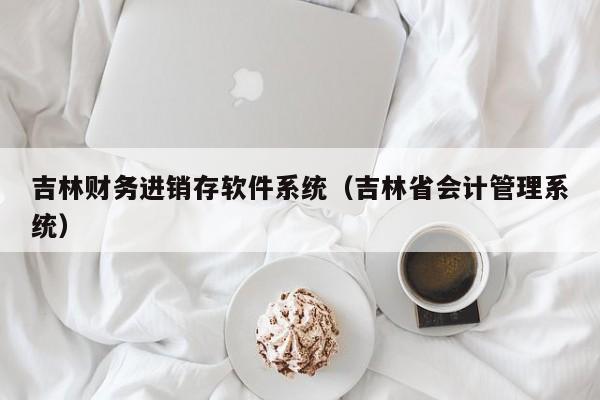 吉林财务进销存软件系统（吉林省会计管理系统）