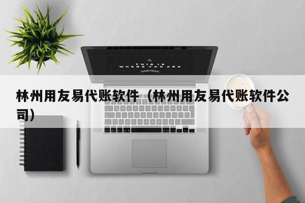 林州用友易代账软件（林州用友易代账软件公司）