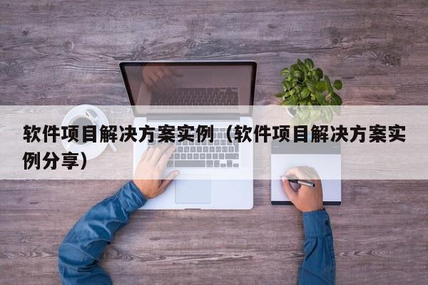 软件项目解决方案实例（软件项目解决方案实例分享）