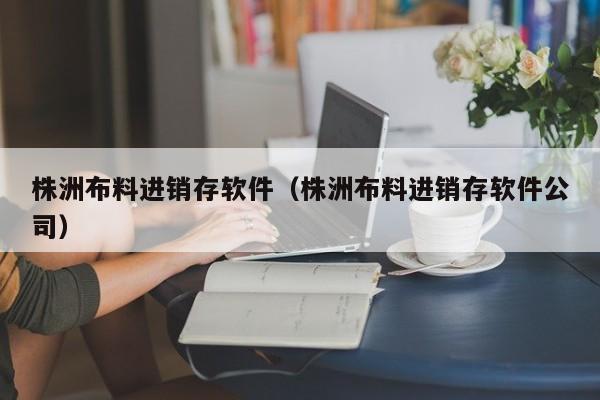 株洲布料进销存软件（株洲布料进销存软件公司）