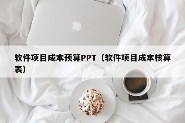 软件项目成本预算PPT（软件项目成本核算表）