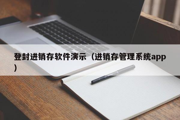 登封进销存软件演示（进销存管理系统app）