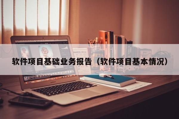 软件项目基础业务报告（软件项目基本情况）