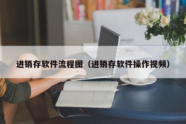 进销存软件流程图（进销存软件操作视频）