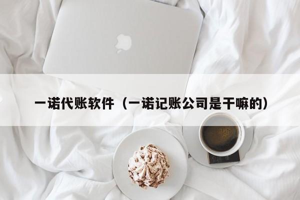 一诺代账软件（一诺记账公司是干嘛的）