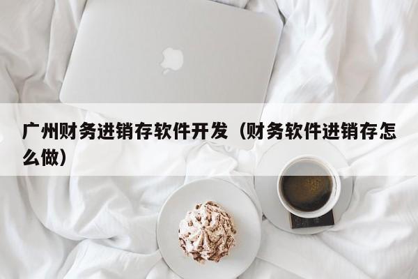 广州财务进销存软件开发（财务软件进销存怎么做）