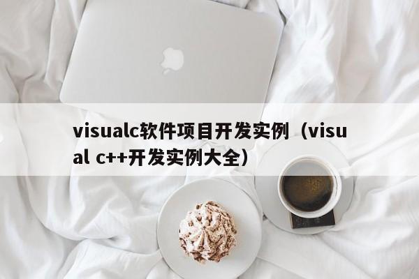 visualc软件项目开发实例（visual c++开发实例大全）