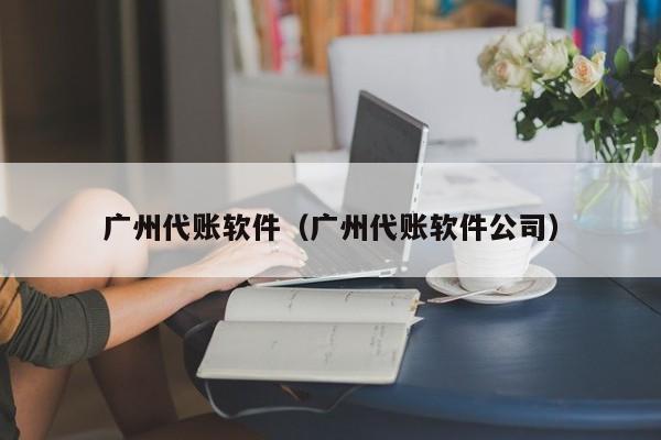 广州代账软件（广州代账软件公司）