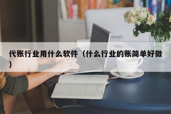 代账行业用什么软件（什么行业的账简单好做）