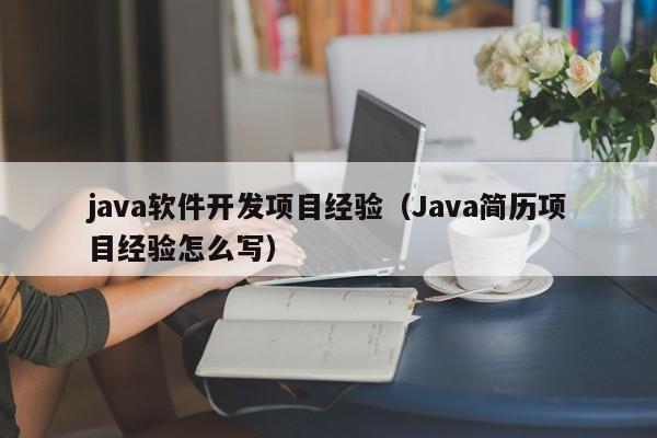 java软件开发项目经验（Java简历项目经验怎么写）