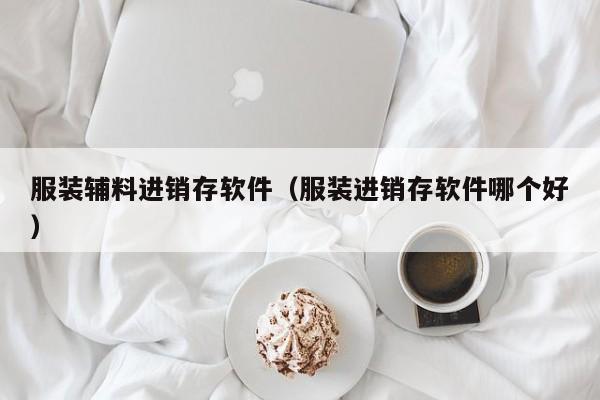 服装辅料进销存软件（服装进销存软件哪个好）