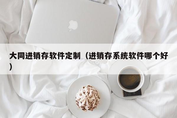 大同进销存软件定制（进销存系统软件哪个好）