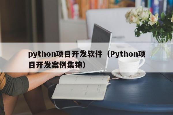 python项目开发软件（Python项目开发案例集锦）