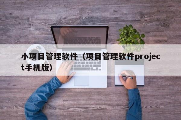 小项目管理软件（项目管理软件project手机版）