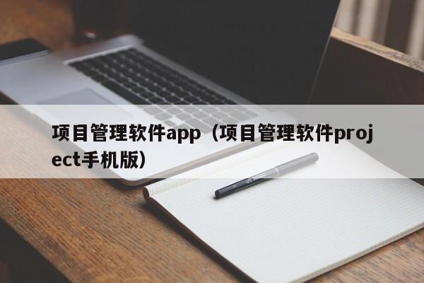 项目管理软件app（项目管理软件project手机版）