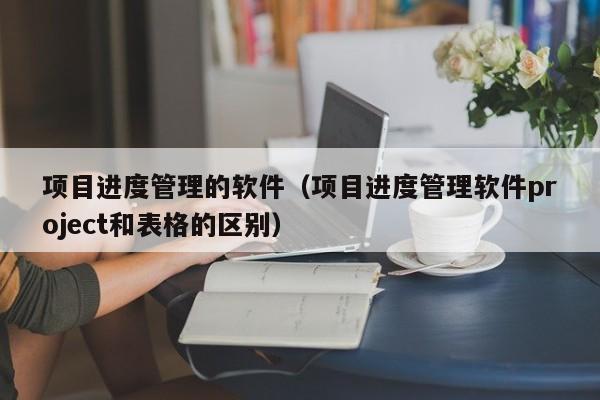 项目进度管理的软件（项目进度管理软件project和表格的区别）