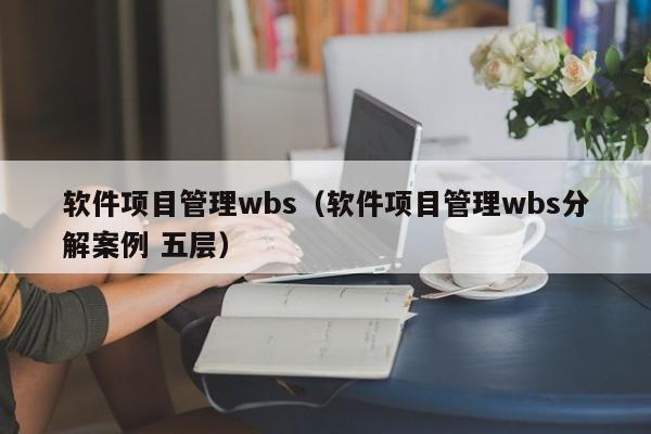 软件项目管理wbs（软件项目管理wbs分解案例 五层）