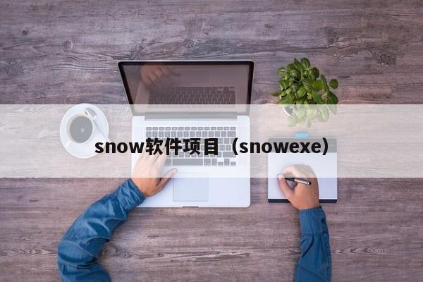 snow软件项目（snowexe）