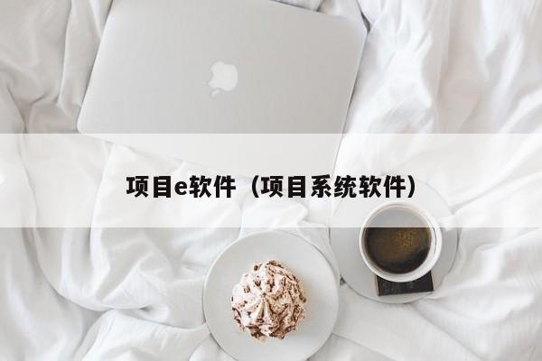 项目e软件（项目系统软件）