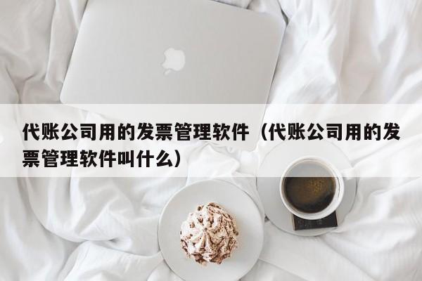 代账公司用的发票管理软件（代账公司用的发票管理软件叫什么）