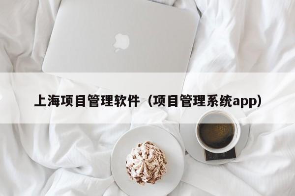 上海项目管理软件（项目管理系统app）