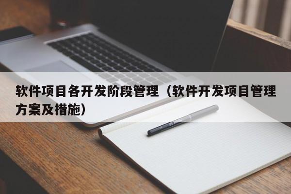 软件项目各开发阶段管理（软件开发项目管理方案及措施）