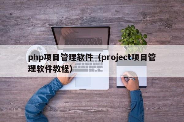 php项目管理软件（project项目管理软件教程）