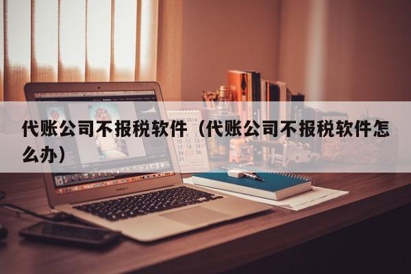 代账公司不报税软件（代账公司不报税软件怎么办）