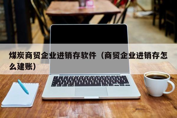 煤炭商贸企业进销存软件（商贸企业进销存怎么建账）