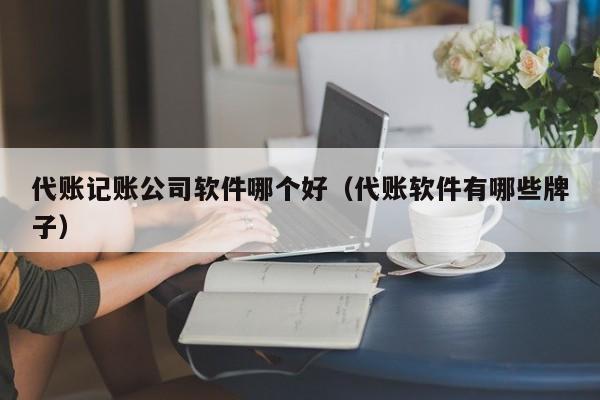 代账记账公司软件哪个好（代账软件有哪些牌子）