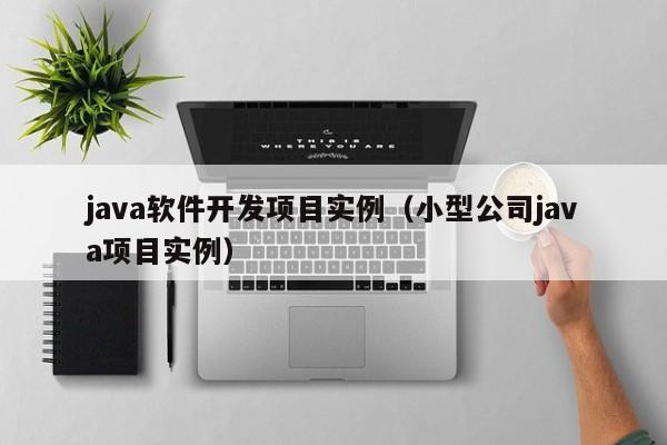 java软件开发项目实例（小型公司java项目实例）