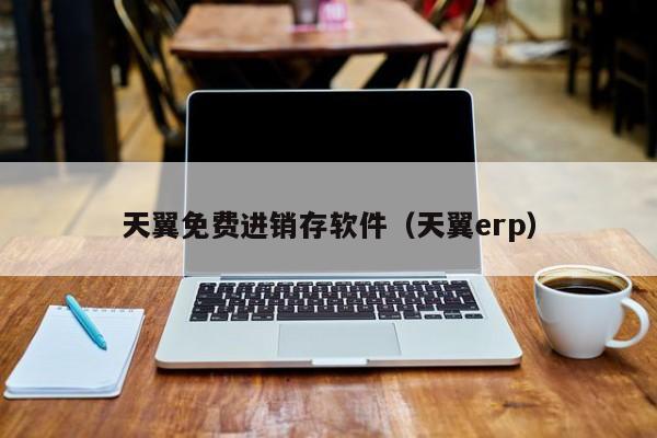 天翼免费进销存软件（天翼erp）