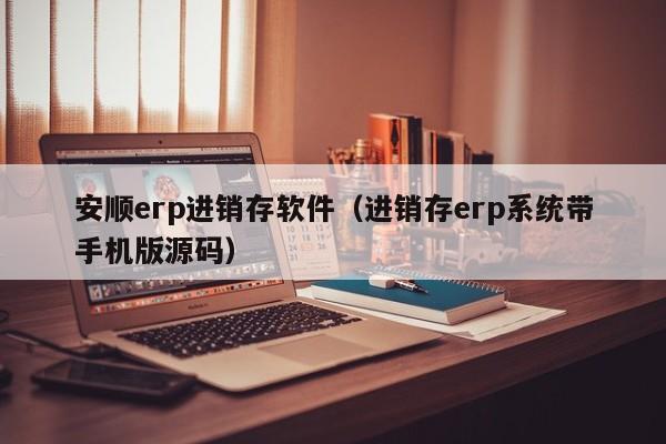 安顺erp进销存软件（进销存erp系统带手机版源码）