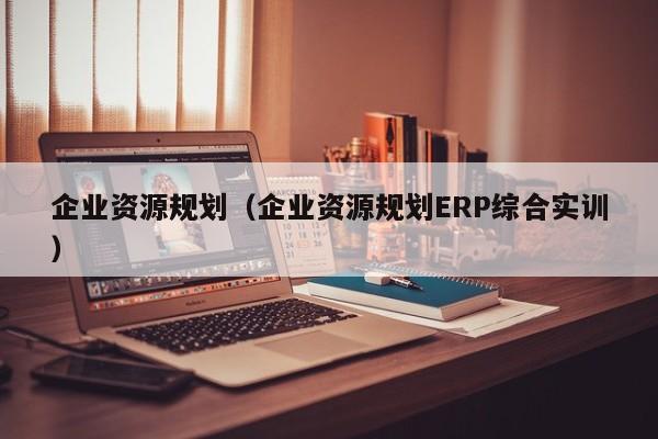 企业资源规划（企业资源规划ERP综合实训）