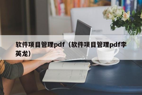 软件项目管理pdf（软件项目管理pdf李英龙）