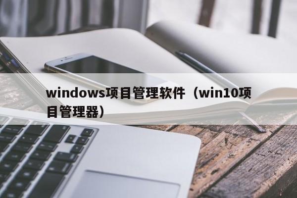 windows项目管理软件（win10项目管理器）