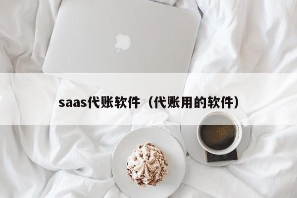 saas代账软件（代账用的软件）