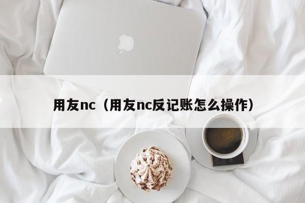 用友nc（用友nc反记账怎么操作）