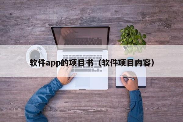 软件app的项目书（软件项目内容）