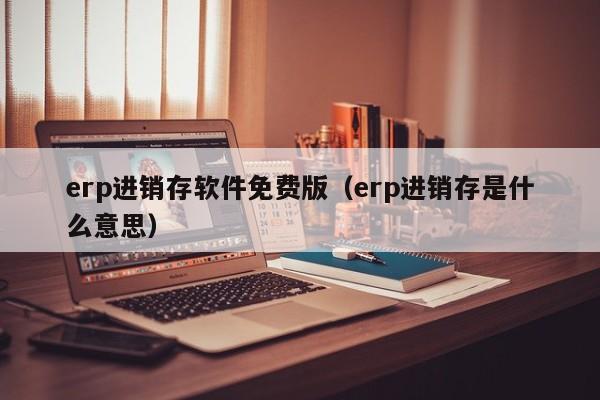 erp进销存软件免费版（erp进销存是什么意思）