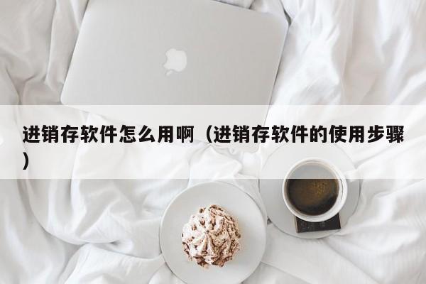 进销存软件怎么用啊（进销存软件的使用步骤）