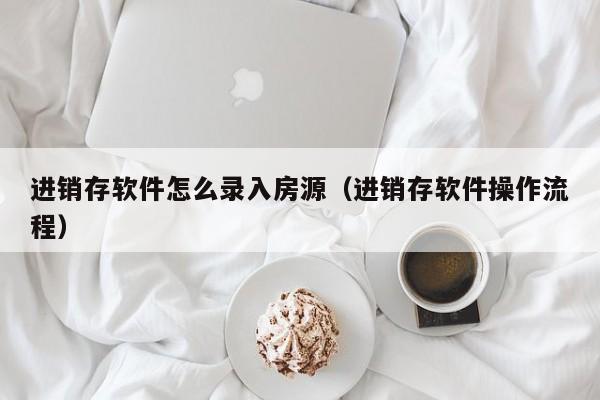 进销存软件怎么录入房源（进销存软件操作流程）