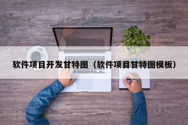 软件项目开发甘特图（软件项目甘特图模板）