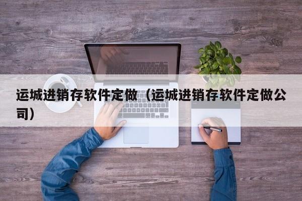 运城进销存软件定做（运城进销存软件定做公司）