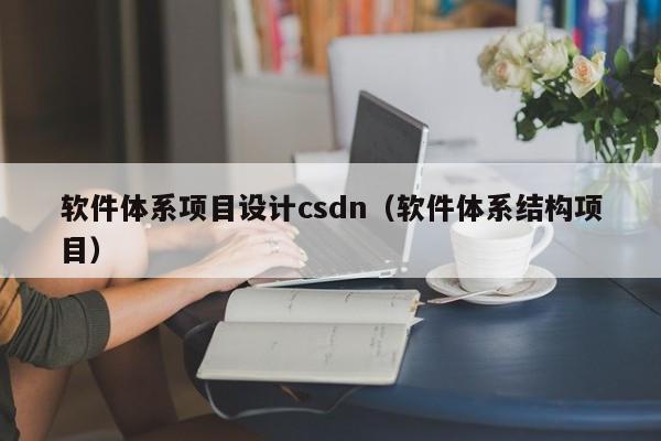 软件体系项目设计csdn（软件体系结构项目）