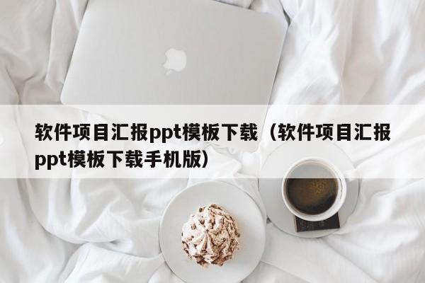 软件项目汇报ppt模板下载（软件项目汇报ppt模板下载手机版）